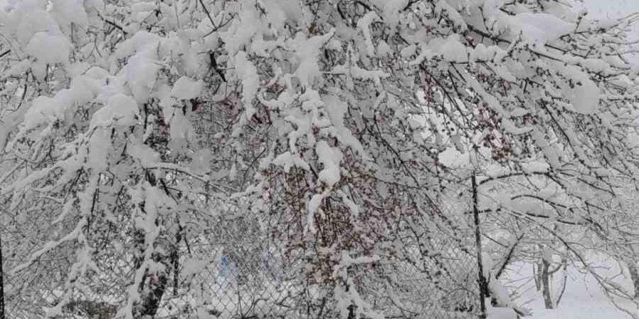 Denizli’nin yüksek kesimleri baharda beyaza büründü