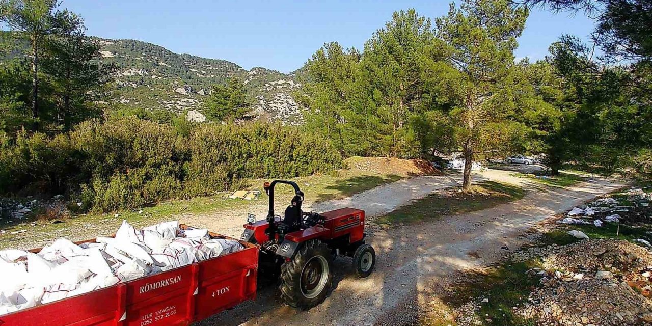 Kaçak döküm yapanlar fotokapandan kaçamadı