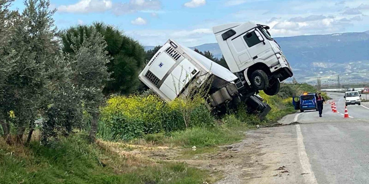 Bağa giren tır şaha kalktı