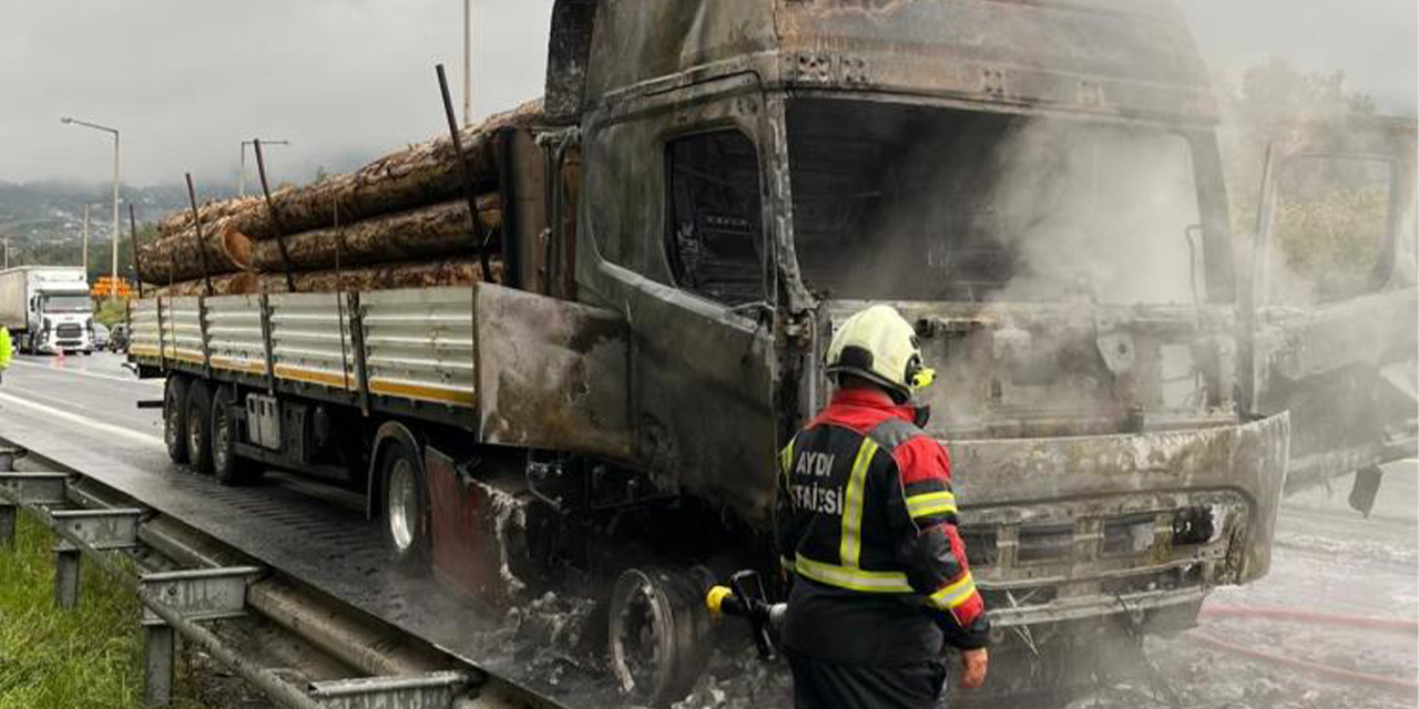 Tomruk yüklü tır alev alev yandı
