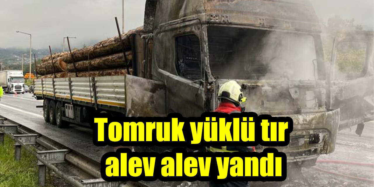 Tomruk yüklü tır alev alev yandı