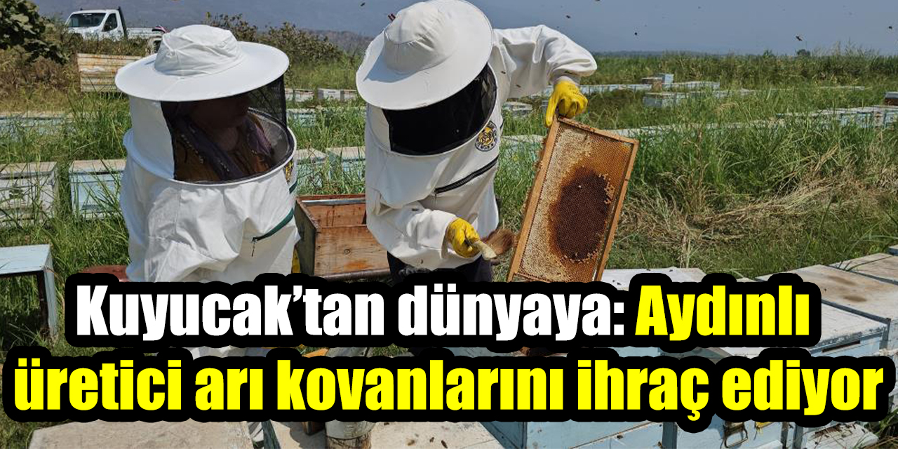 Kuyucak’tan dünyaya: Aydınlı üretici arı kovanlarını ihraç ediyor