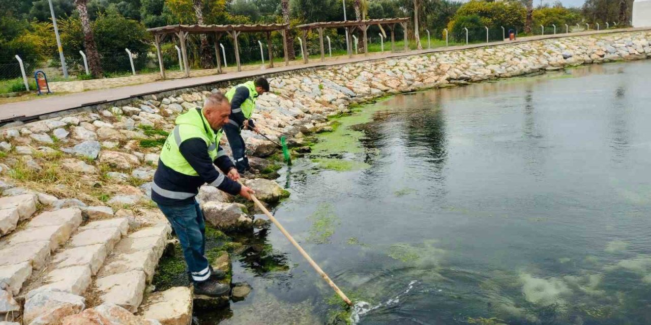 Didim’de temizlik ve düzenleme çalışmaları sürüyor