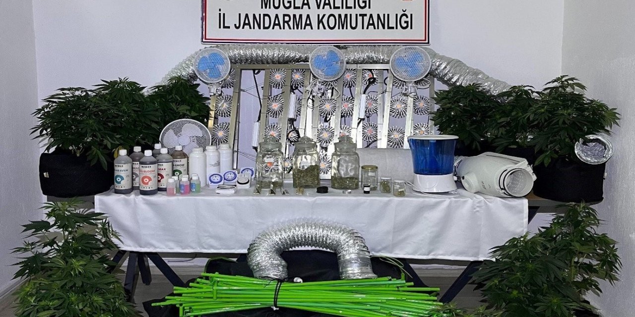 Muğla Jandarmasından zehir tacirlerine Mart ayı darbesi: 173 gözaltı