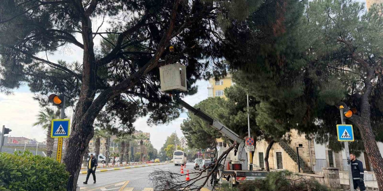 Aydın’ın en işlek noktasına estetik dokunuş