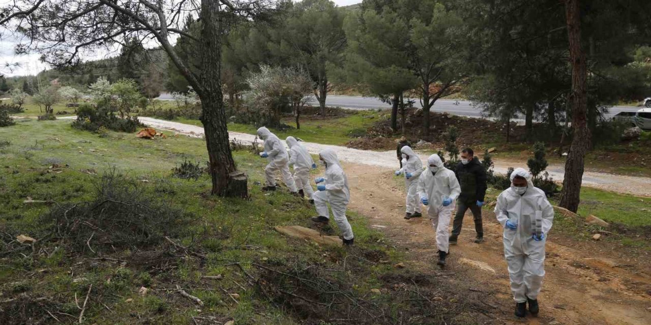 Terminatör böcekler iş başında