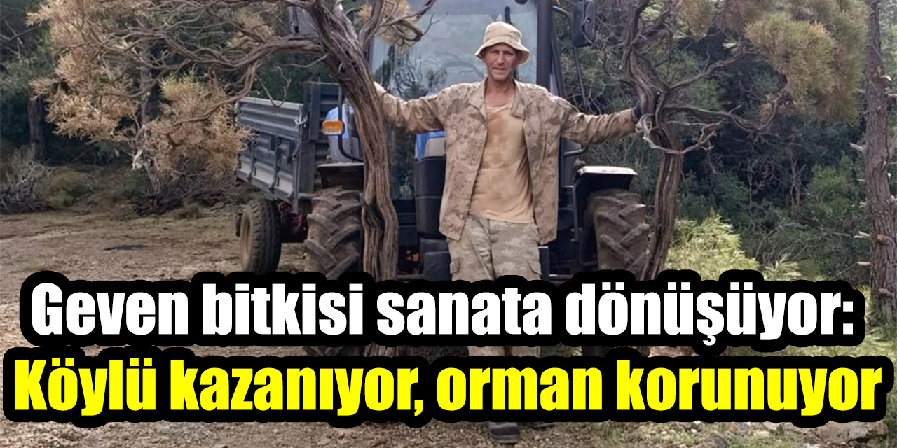 Geven bitkisi sanata dönüşüyor: Köylü kazanıyor, orman korunuyor