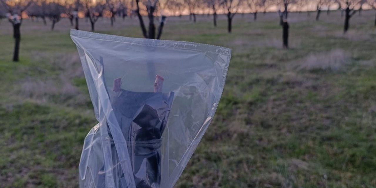 Uşak’ta badem üreticilerine don uyarısı