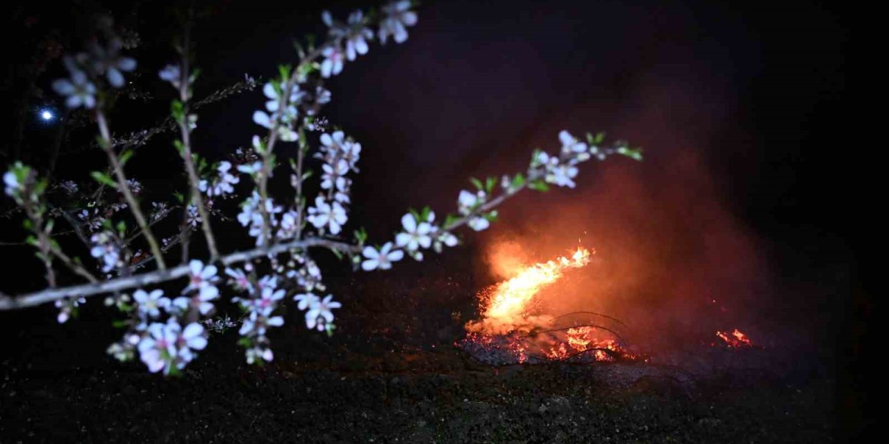 Manisa’da zirai don nöbeti