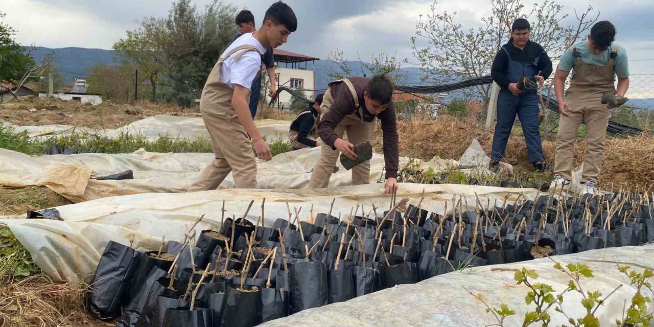 Liselilerden bölge tarımına büyük katkı