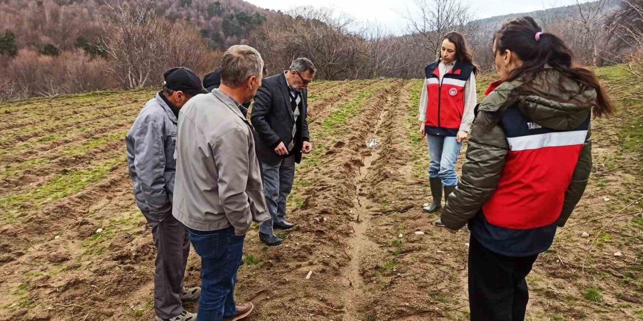 Kütahya’da yüzde 75 hibeli ahududu bahçelerinde kontroller gerçekleştirildi
