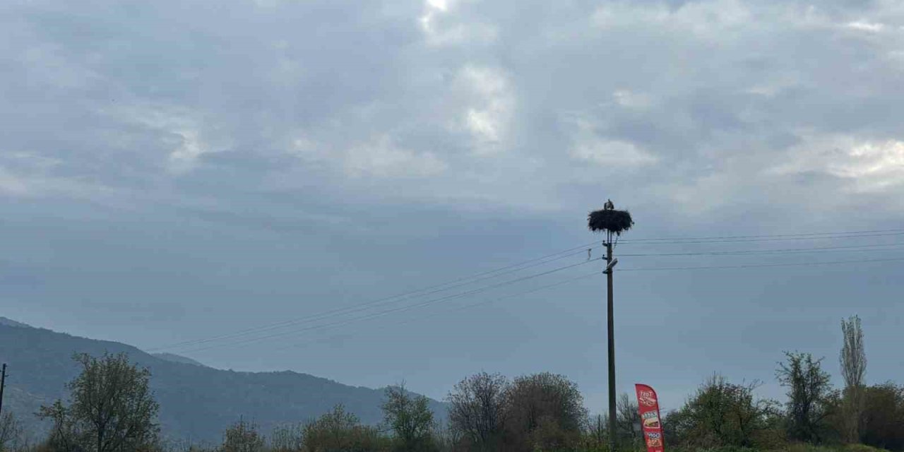 Bozdoğan’da baharın müjdecisi leylekler yuvalarına döndü