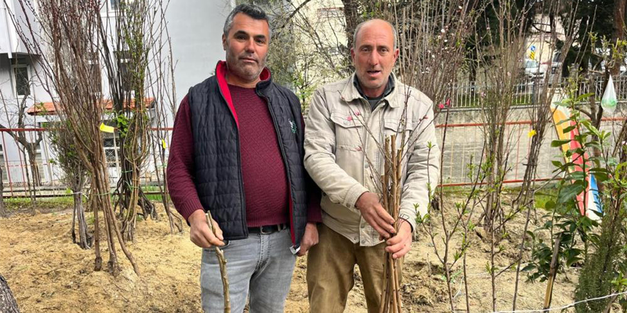 Buldan’da fidan dikim sezonu hareketlendi