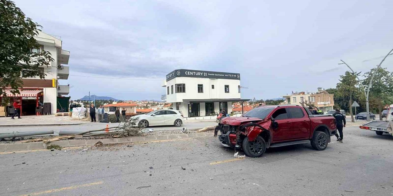 Direksiyon hakimiyetini kaybetti, 2 ağaç ve elektrik direğini yerinden söktü