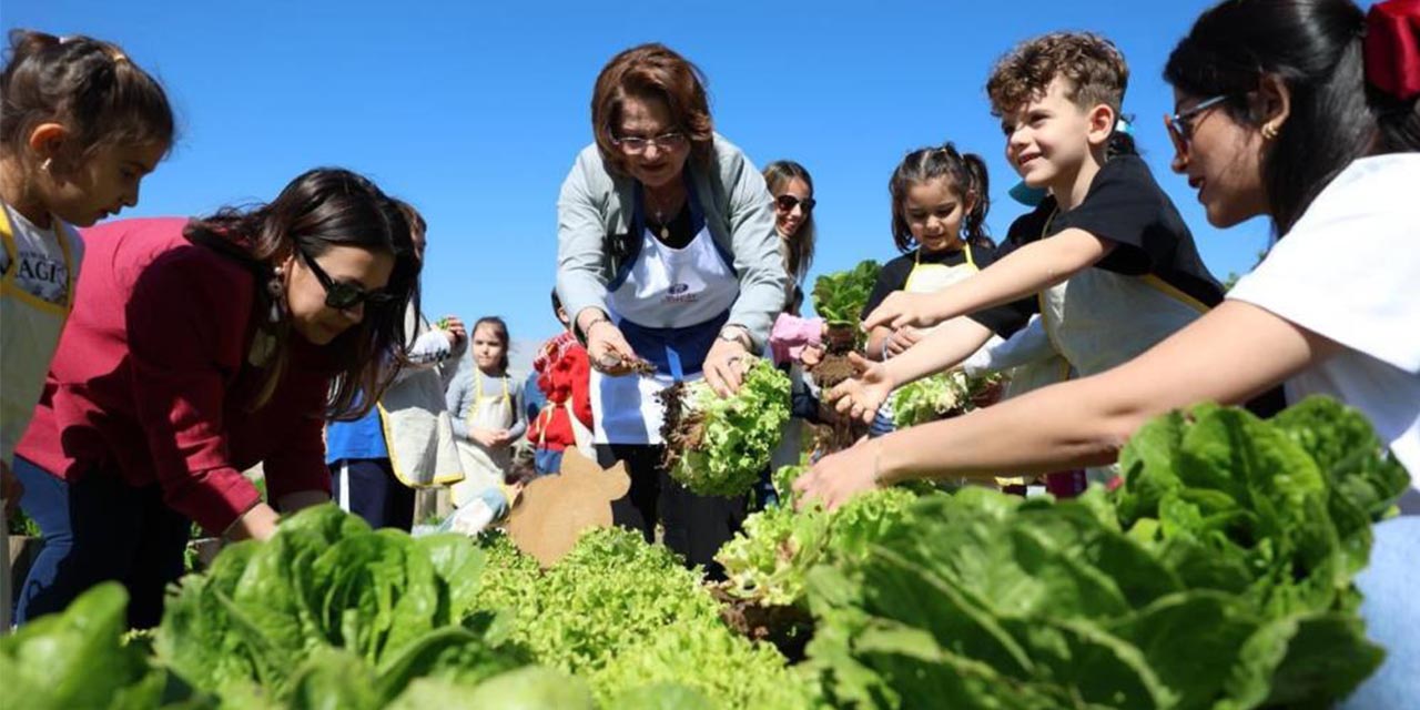 Didim’de minikler tarımla büyüyor: Ektiklerini hasat ettiler