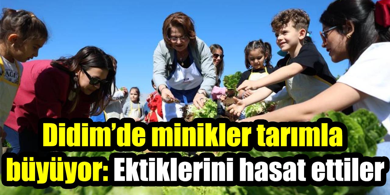 Didim’de minikler tarımla büyüyor: Ektiklerini hasat ettiler