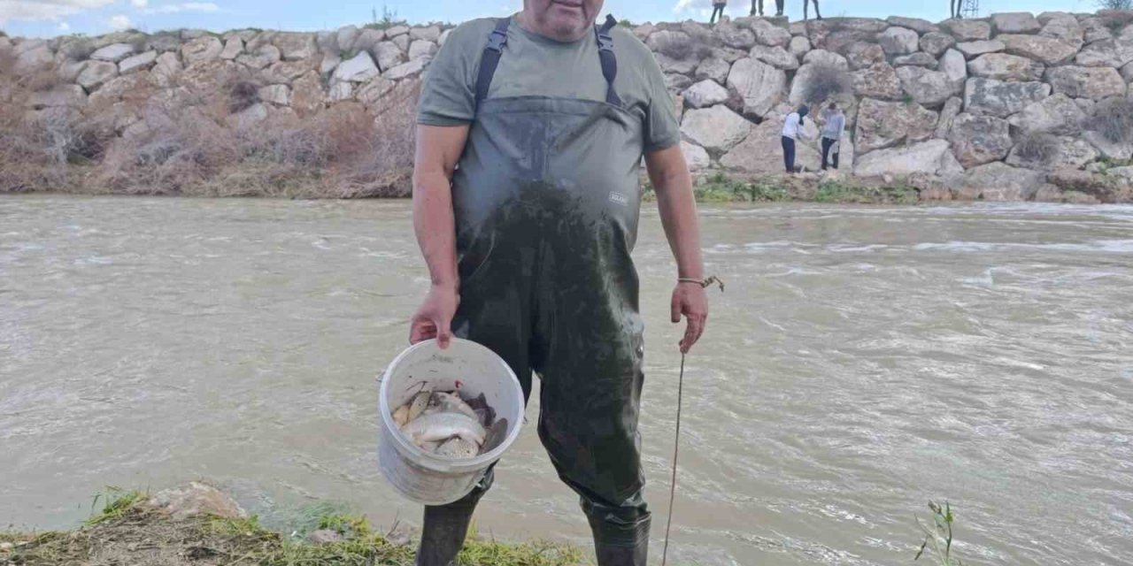 10 yıllık kuraklığın hakim olduğu çayda balık avladılar