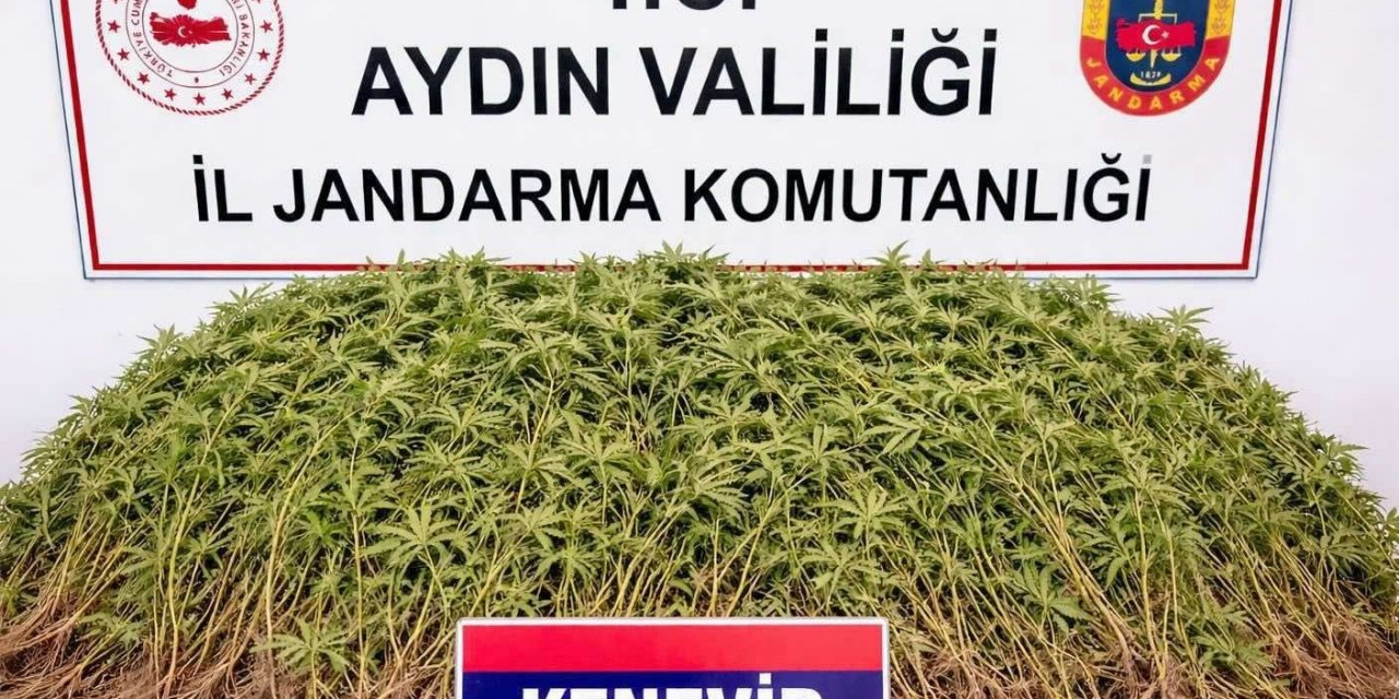 Nazilli’de uyuşturucu operasyonu