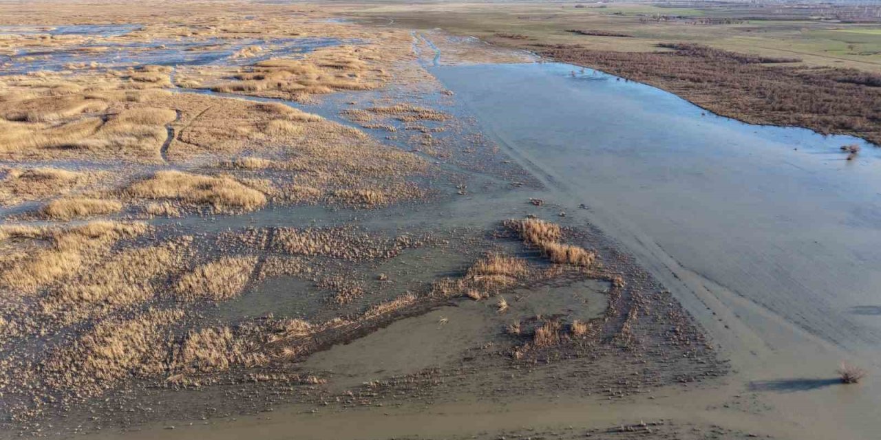 Akşehir Gölü’nde yıllardır görülmeyen oldu