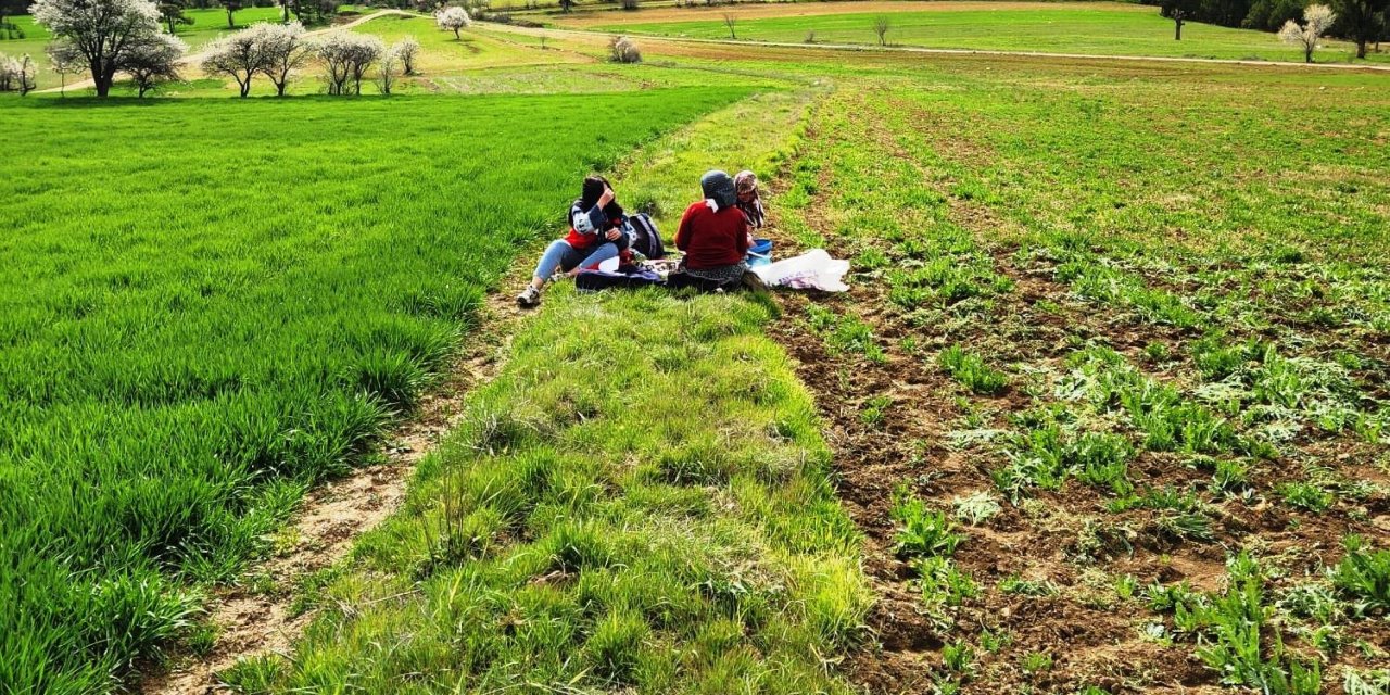 Hisarcık’ta tarımsal saha çalışmaları yapıldı