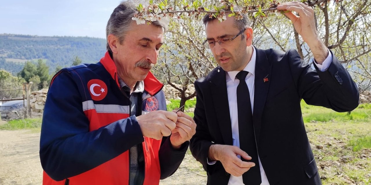 Uşak İl Tarım ve Orman Müdürlüğü ekipleri üreticiyle bir araya geldi