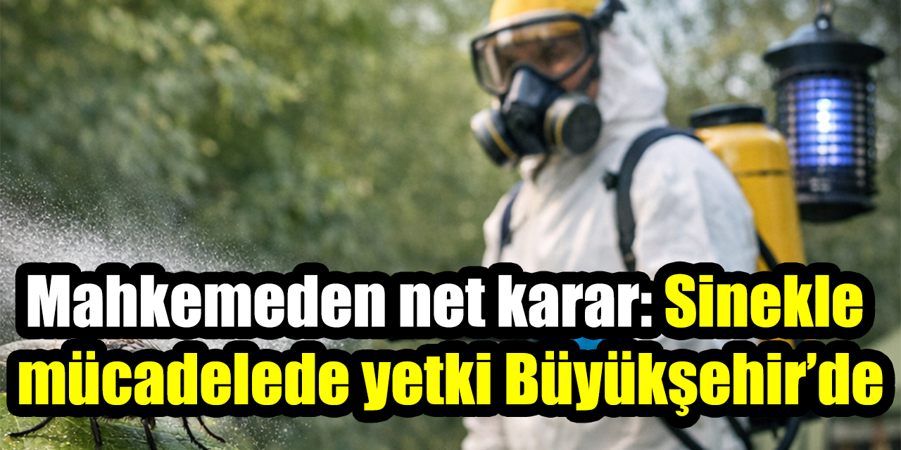 Mahkemeden net karar: Sinekle mücadelede yetki Büyükşehir’de