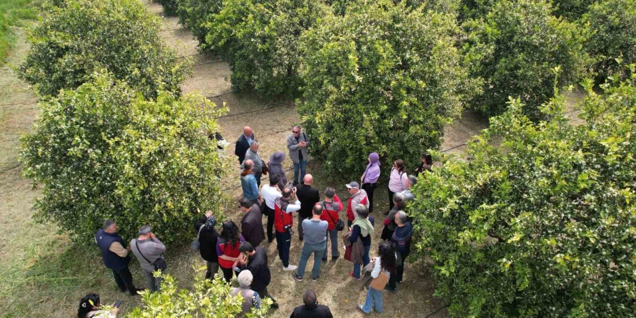 Tarımda yeni dönem başlıyor