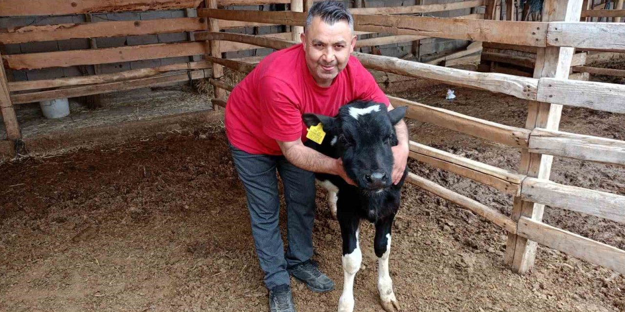 Çal’da Mert için yürekler seferber oldu