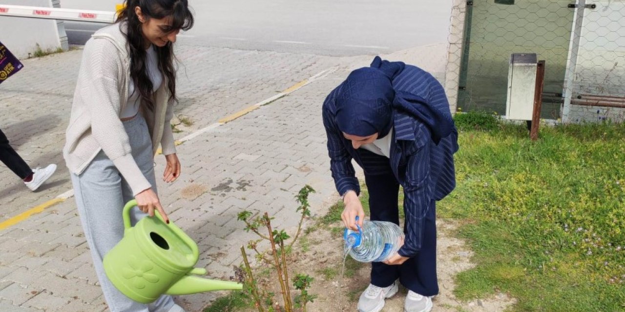 Emet MYO kampüsüne gül fidanı dikimi