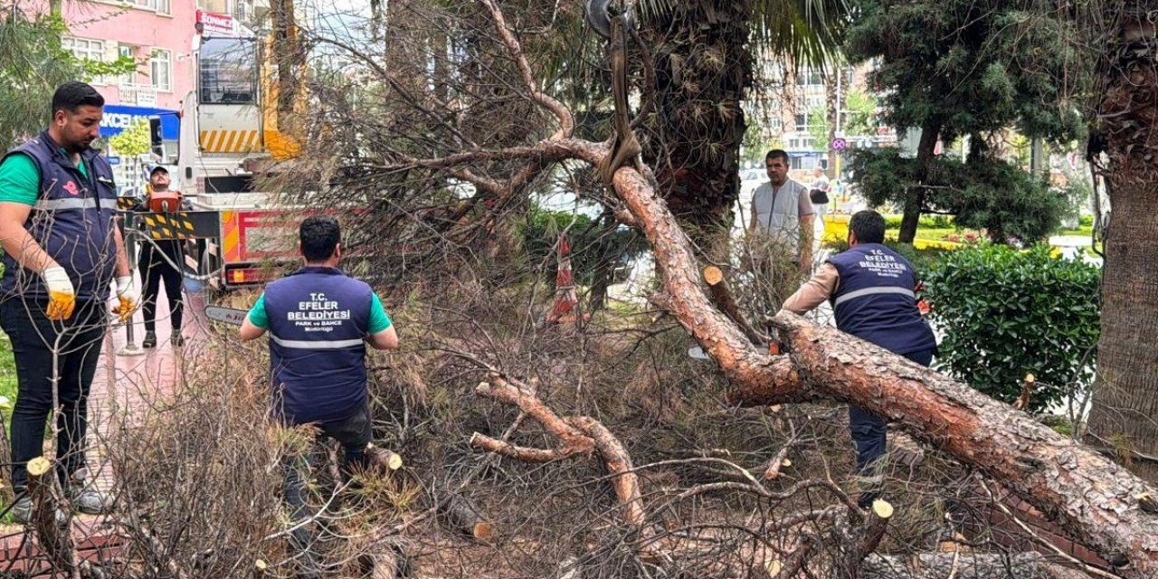 Efeler Belediyesi parkları güvenli hale getiriyor