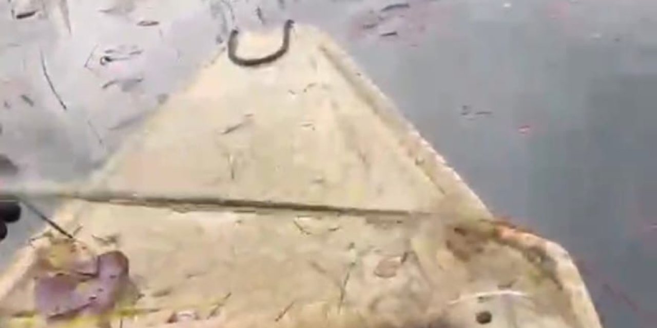 ‘Nilüfer Cenneti’nde kaçak avcılığa ‘dur’ denildi