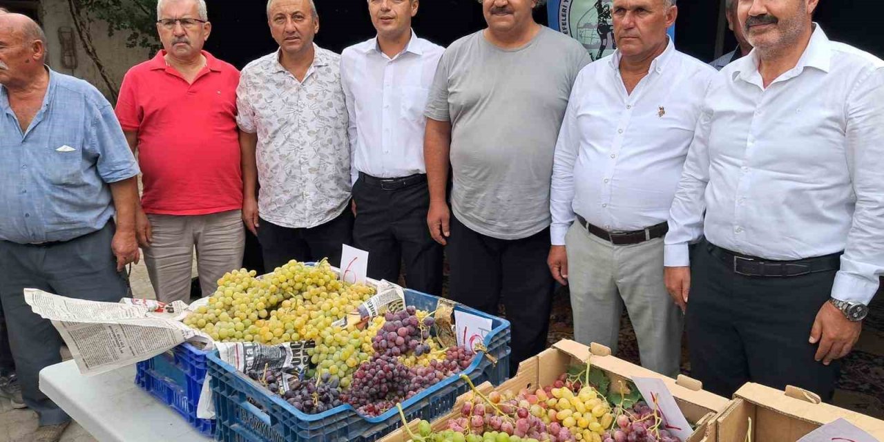 Avşar Üzümü coğrafi işaretle tescillendi