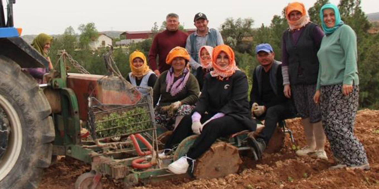 Kaymakam Kuran poşusunu takıp kekik dikti