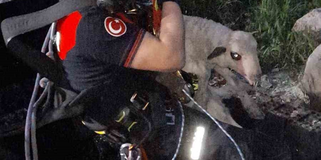 İzmir’de kuyuya düşen kuzuya itfaiyeden nefes kesen kurtarma