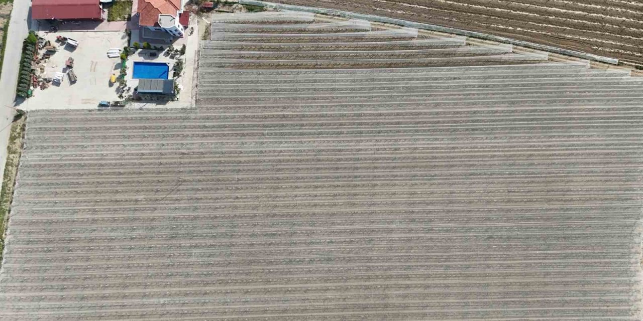 Kadın girişimciden tarımda akılcı çözüm