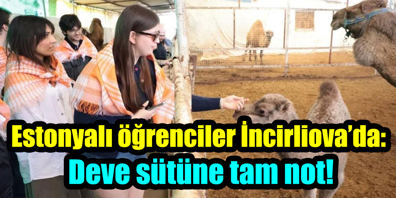 Estonyalı öğrenciler İncirliova’da: Deve sütüne tam not!