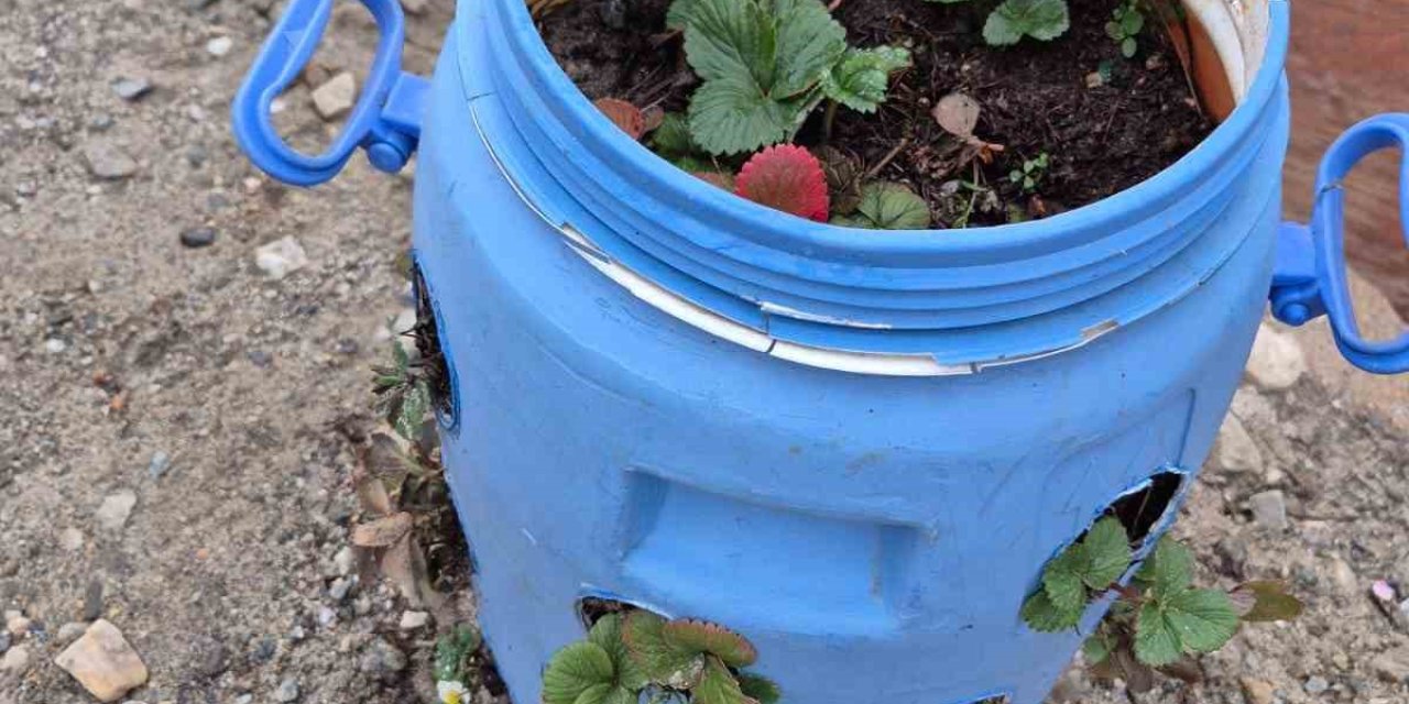 Buldanlı üreticiler atık malzemeleri tarımda değerlendiriyor