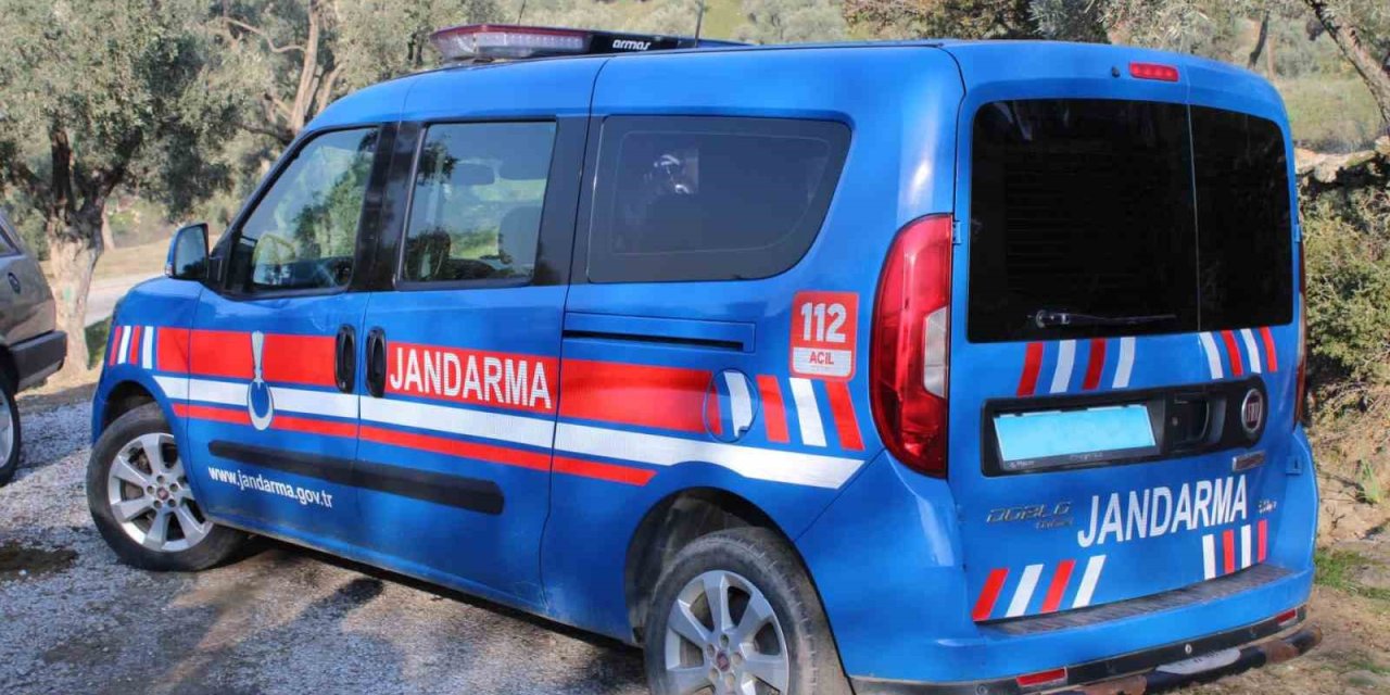 Aydın’da bir kişi ağaca asılı halde bulundu