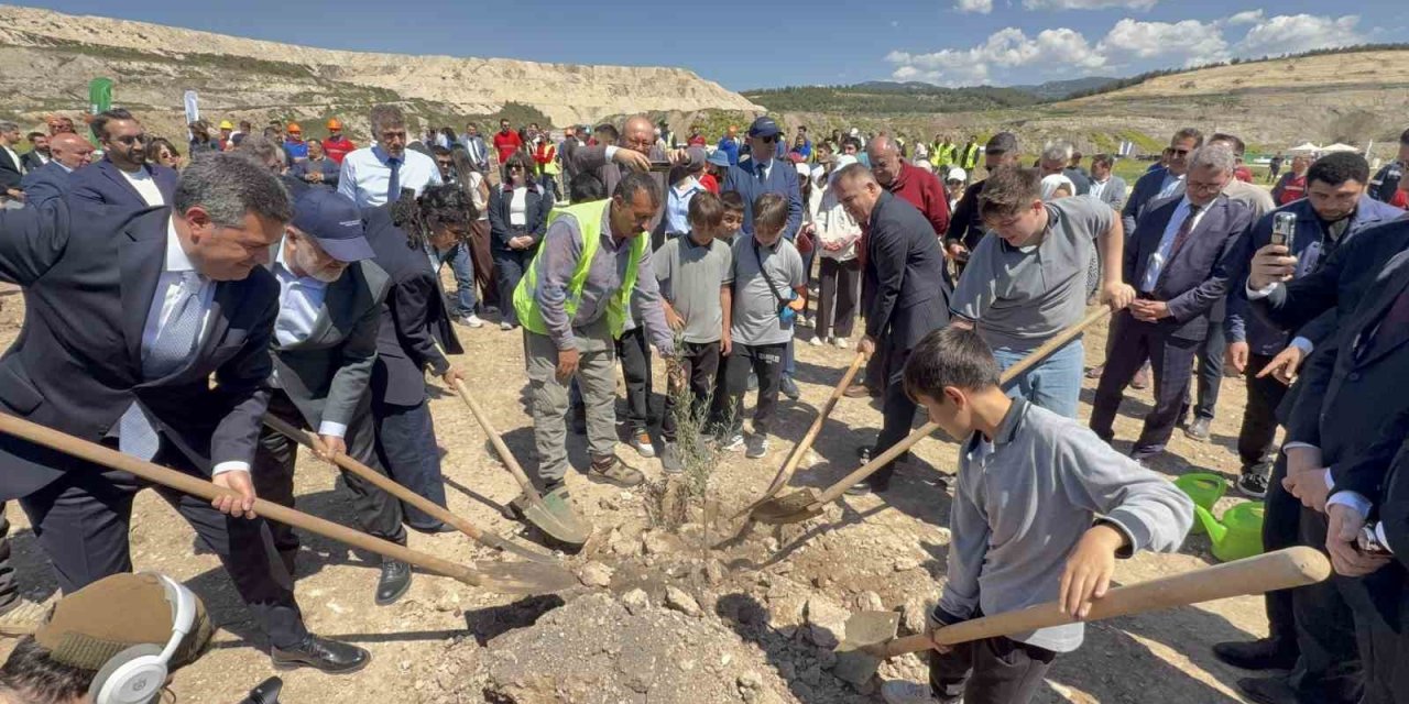Taşınan her zeytin ağacına karşılık fidan: Milas’ta 4 bin zeytin toprakla buluştu