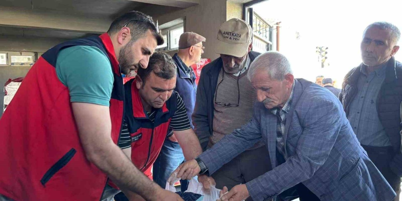 Üreticilere hibe destekli ayçiçeği tohumu dağıtıldı