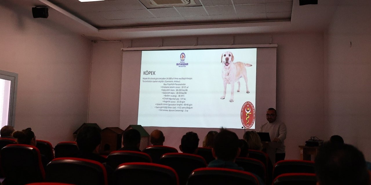 Denizli’de pet shoplara eğitim desteği verdi