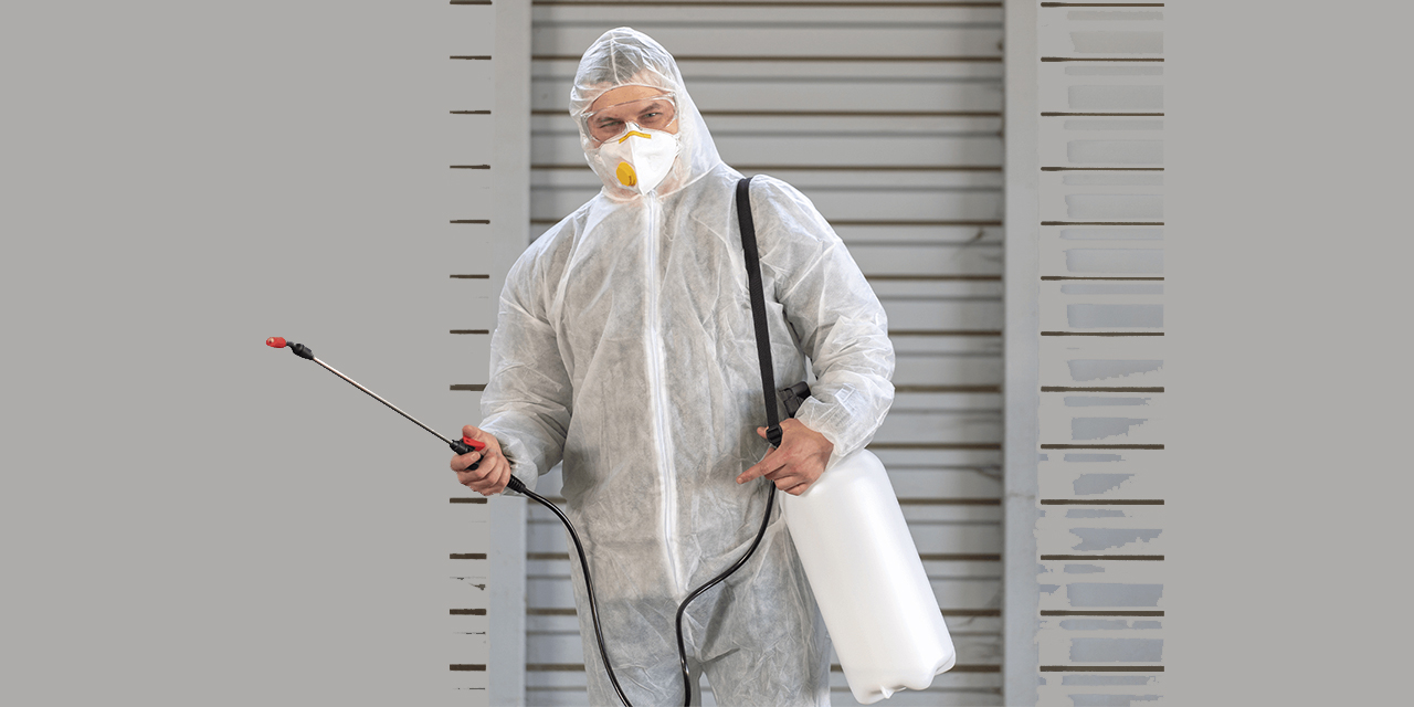 Ankara böcek ilaçlama hizmetlerinde etkili ve sürdürülebilir çözümler