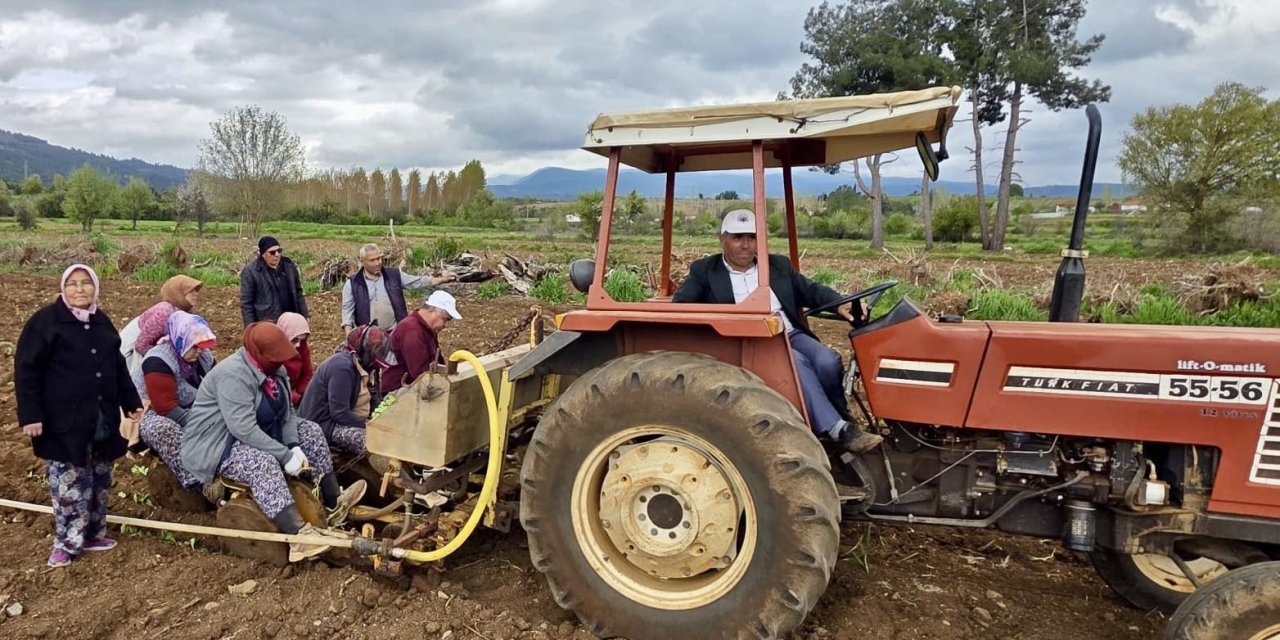 Başkan Pütün tütün sezonun başlamasıyla birlikte üreticiyle tarlada buluştu