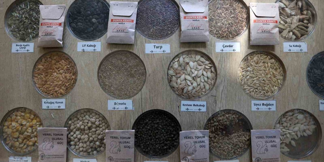 3 milyon yerel tohum dağıtıldı