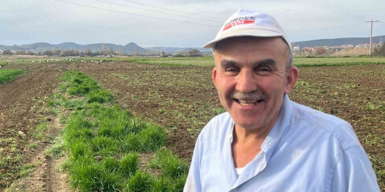 Çiftçinin doğal mesai arkadaşları iş başında