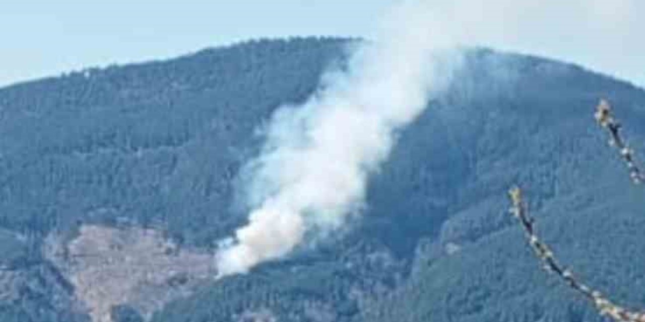 Nazilli’de orman yangını