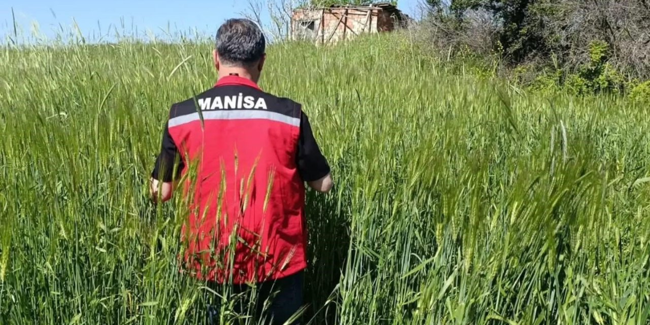 Sarıgöl’de huhubatta verim için ekipler sahada