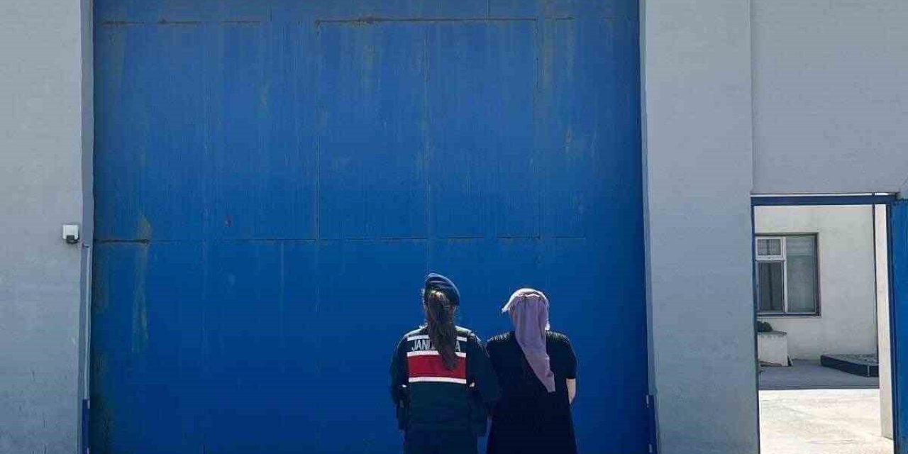 Jandarma 10 yıl hapis cezasıyla aranan şahsı yakaladı