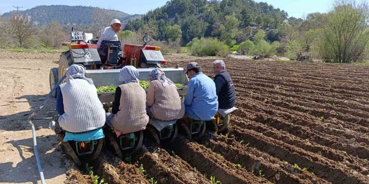 Selendi’de tarım işçisi yevmiyesi 1400 TL oldu
