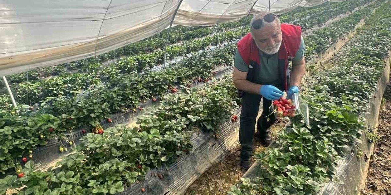 Köşk’ten Sultanhisar’a çapraz denetim